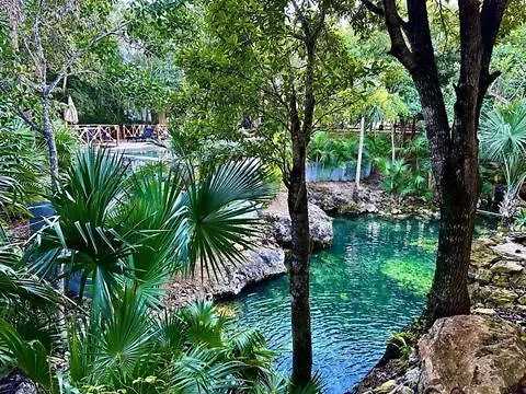 Willa Cozy Getaway Shared Pool & Cenote Access Playa del Carmen 0*,