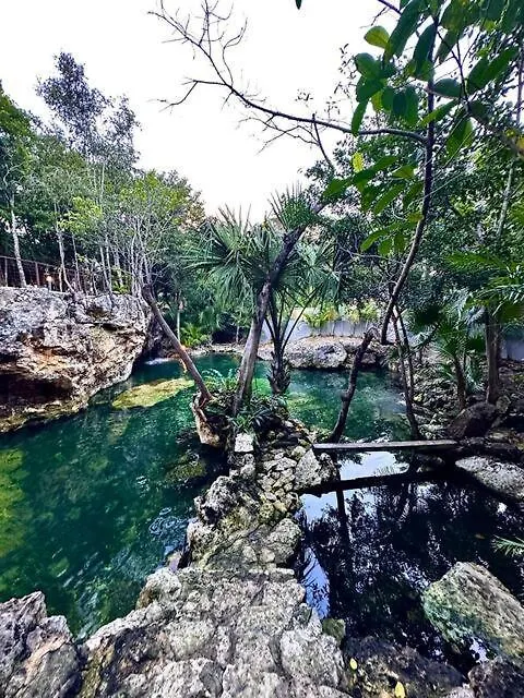 Ferienhaus Villa Cozy Getaway Shared Pool & Cenote Access Playa del Carmen